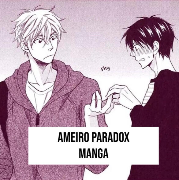 ameiro paradox